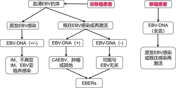南宫·NG28(中国区)官方网站