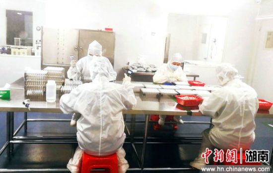 南宫·NG28(中国区)官方网站