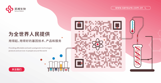 南宫·NG28(中国区)官方网站