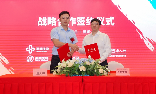南宫·NG28(中国区)官方网站